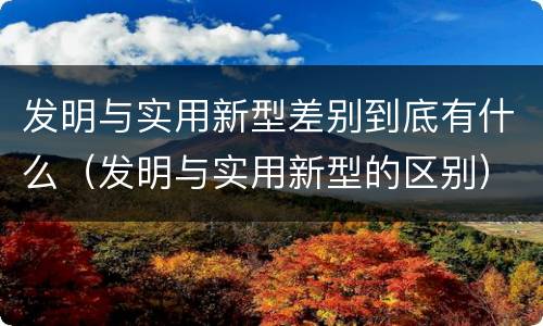 发明与实用新型差别到底有什么（发明与实用新型的区别）