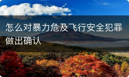 怎么对暴力危及飞行安全犯罪做出确认