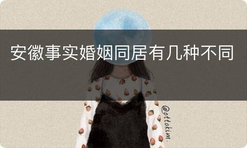 安徽事实婚姻同居有几种不同