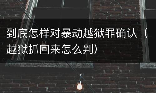 到底怎样对暴动越狱罪确认（越狱抓回来怎么判）