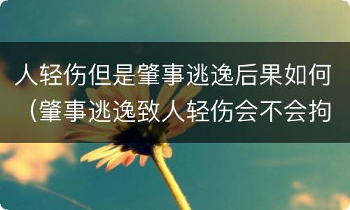 人轻伤但是肇事逃逸后果如何（肇事逃逸致人轻伤会不会拘留）