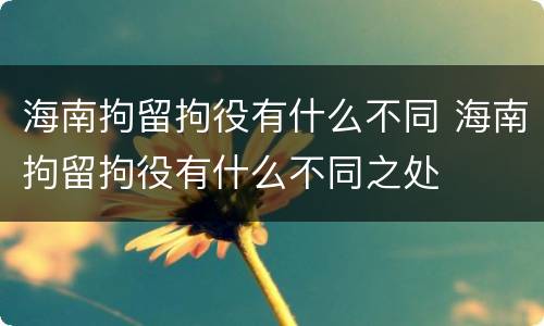 海南拘留拘役有什么不同 海南拘留拘役有什么不同之处