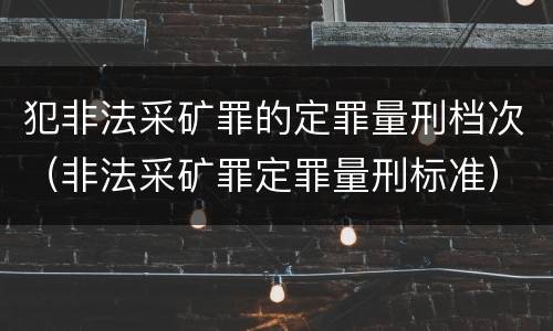 犯非法采矿罪的定罪量刑档次（非法采矿罪定罪量刑标准）