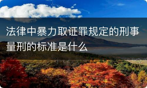 法律中暴力取证罪规定的刑事量刑的标准是什么