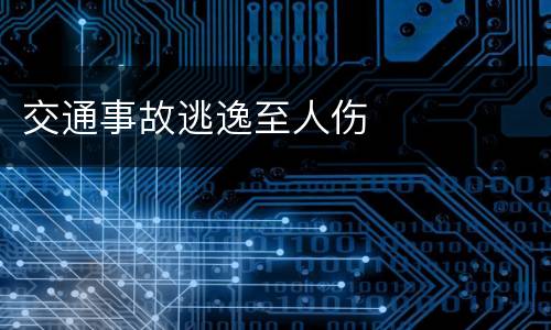 交通事故逃逸至人伤