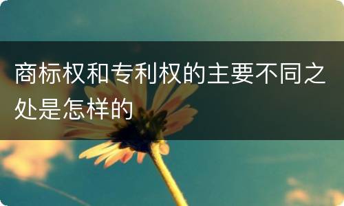 商标权和专利权的主要不同之处是怎样的