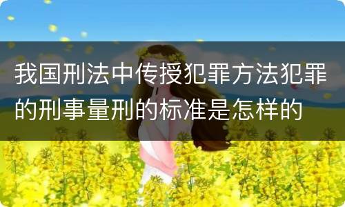 我国刑法中传授犯罪方法犯罪的刑事量刑的标准是怎样的