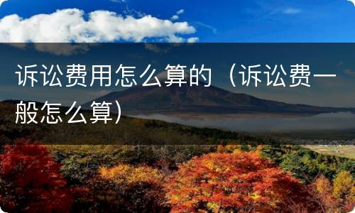 诉讼费用怎么算的（诉讼费一般怎么算）