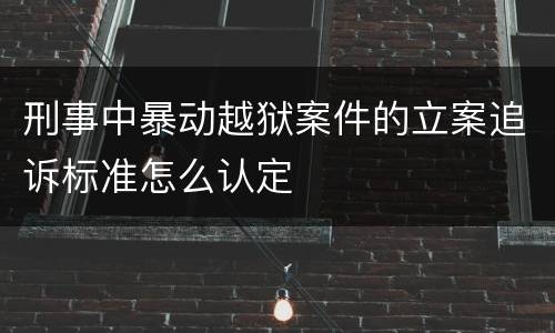 刑事中暴动越狱案件的立案追诉标准怎么认定