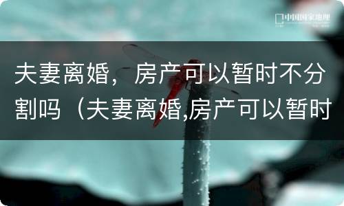 夫妻离婚，房产可以暂时不分割吗（夫妻离婚,房产可以暂时不分割吗）