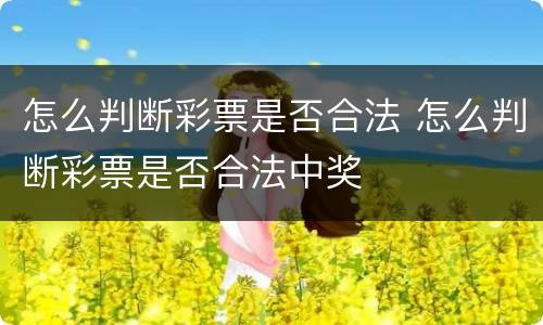 怎么判断彩票是否合法 怎么判断彩票是否合法中奖