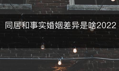 同居和事实婚姻差异是啥2022