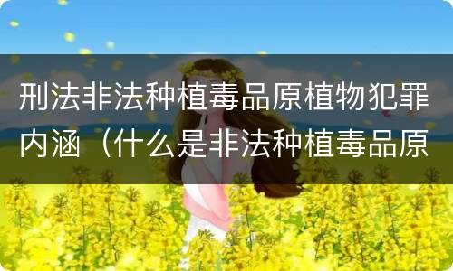 刑法非法种植毒品原植物犯罪内涵（什么是非法种植毒品原植物罪）