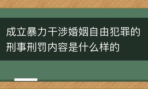 成立暴力干涉婚姻自由犯罪的刑事刑罚内容是什么样的