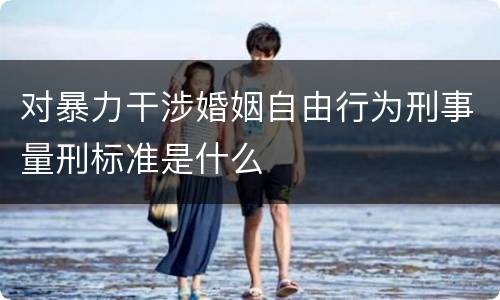 对暴力干涉婚姻自由行为刑事量刑标准是什么