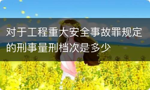 对于工程重大安全事故罪规定的刑事量刑档次是多少