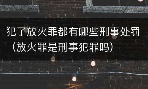 犯了放火罪都有哪些刑事处罚（放火罪是刑事犯罪吗）