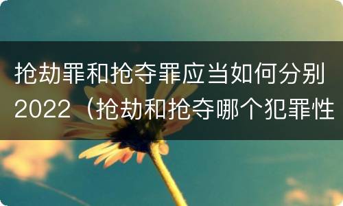 抢劫罪和抢夺罪应当如何分别2022（抢劫和抢夺哪个犯罪性质严重）