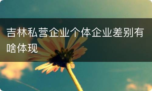 吉林私营企业个体企业差别有啥体现