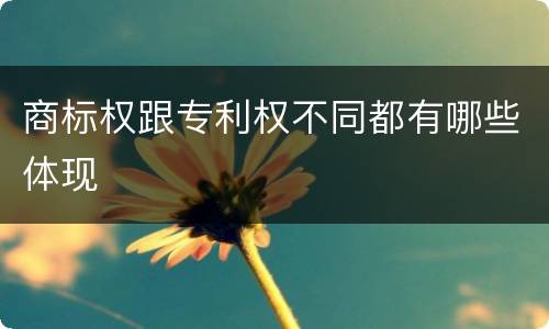 商标权跟专利权不同都有哪些体现
