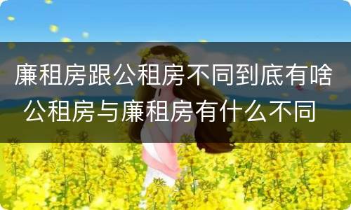 廉租房跟公租房不同到底有啥 公租房与廉租房有什么不同