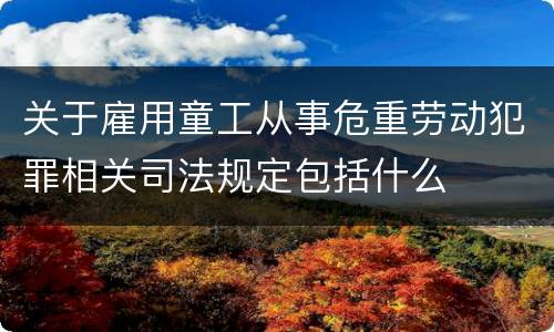 关于雇用童工从事危重劳动犯罪相关司法规定包括什么
