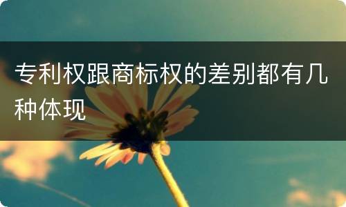 专利权跟商标权的差别都有几种体现