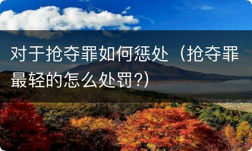 对于抢夺罪如何惩处（抢夺罪最轻的怎么处罚?）