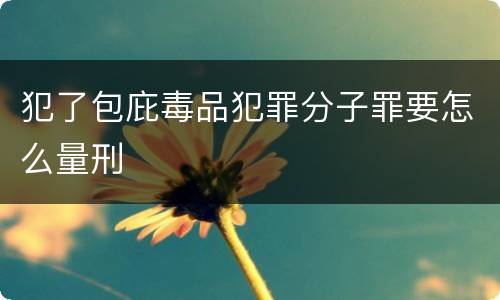 犯了包庇毒品犯罪分子罪要怎么量刑