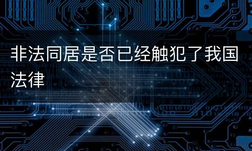 非法同居是否已经触犯了我国法律