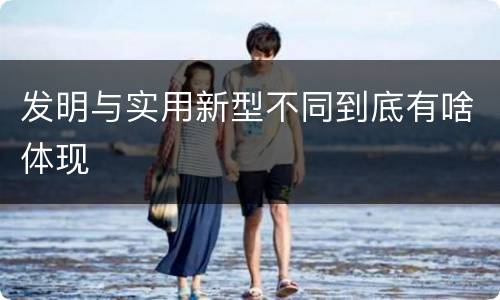 发明与实用新型不同到底有啥体现