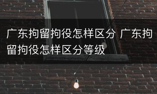 广东拘留拘役怎样区分 广东拘留拘役怎样区分等级