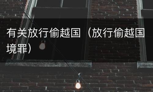 有关放行偷越国（放行偷越国境罪）