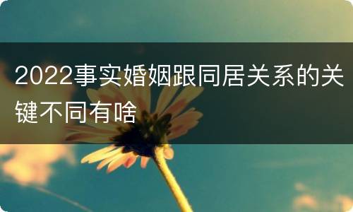 2022事实婚姻跟同居关系的关键不同有啥