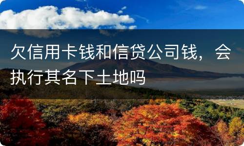 欠信用卡钱和信贷公司钱，会执行其名下土地吗