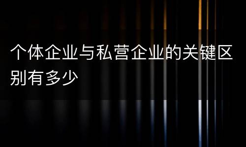 个体企业与私营企业的关键区别有多少