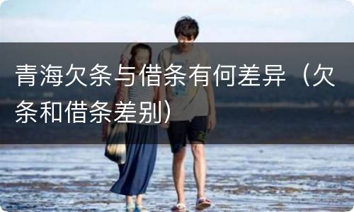 青海欠条与借条有何差异（欠条和借条差别）