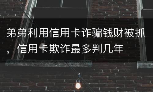 弟弟利用信用卡诈骗钱财被抓，信用卡欺诈最多判几年