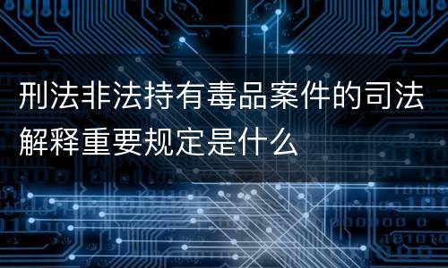 刑法非法持有毒品案件的司法解释重要规定是什么