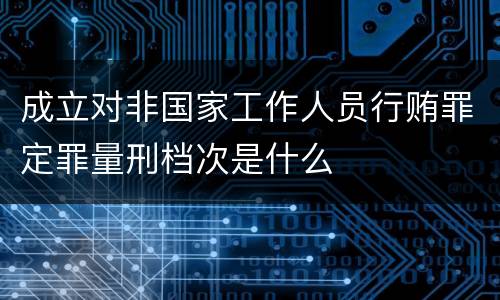 成立对非国家工作人员行贿罪定罪量刑档次是什么