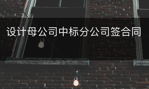 设计母公司中标分公司签合同