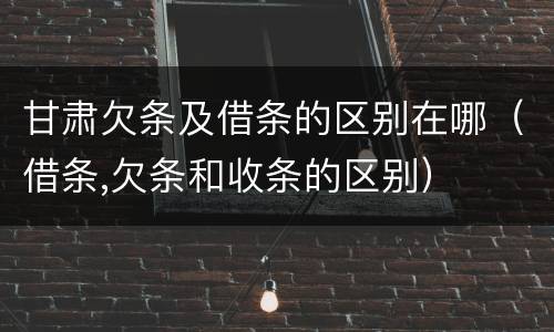 甘肃欠条及借条的区别在哪（借条,欠条和收条的区别）
