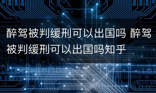 醉驾被判缓刑可以出国吗 醉驾被判缓刑可以出国吗知乎