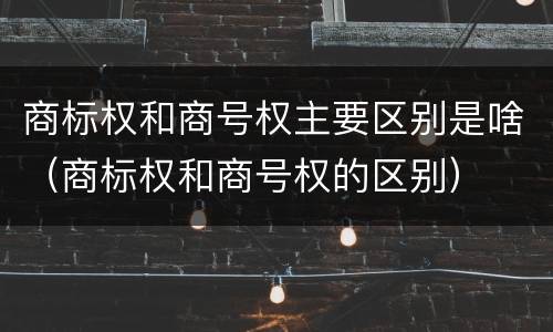 商标权和商号权主要区别是啥（商标权和商号权的区别）