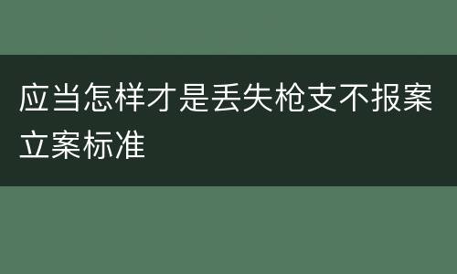 应当怎样才是丢失枪支不报案立案标准