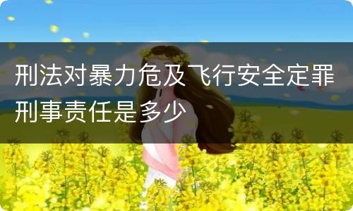 刑法对暴力危及飞行安全定罪刑事责任是多少