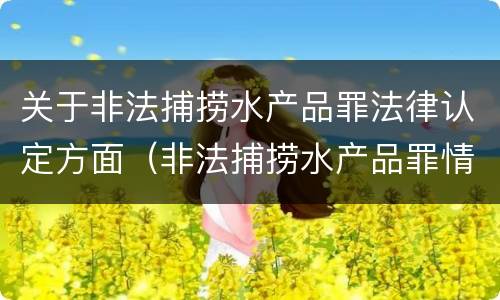 关于非法捕捞水产品罪法律认定方面（非法捕捞水产品罪情节严重的认定）