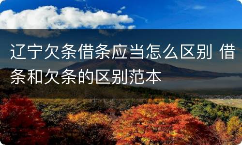 辽宁欠条借条应当怎么区别 借条和欠条的区别范本