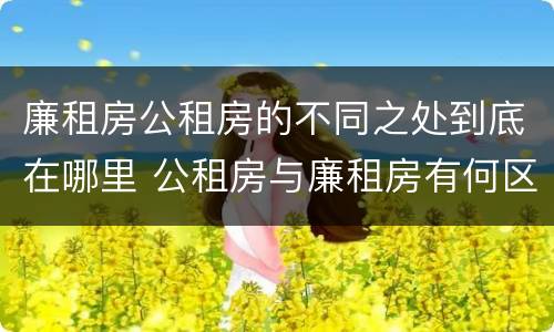 廉租房公租房的不同之处到底在哪里 公租房与廉租房有何区别