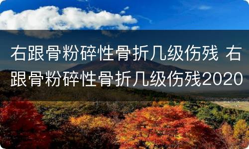 右跟骨粉碎性骨折几级伤残 右跟骨粉碎性骨折几级伤残2020年